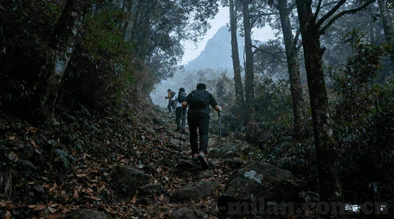 投注世界杯彩票去那里-世界杯彩票投注指南，选择安全可靠的投注平台